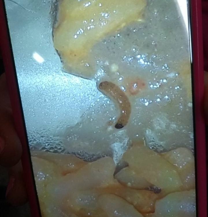 Aluna flagra larva na merenda escolar em escola no 24 de Maio; Secretaria da Educação nega contaminação da comida