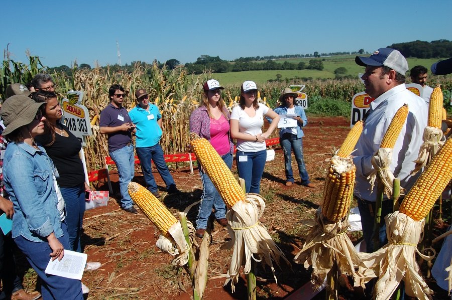 25ª edição do Dia de Campo do Milho na FCA/Unesp recebe grande público