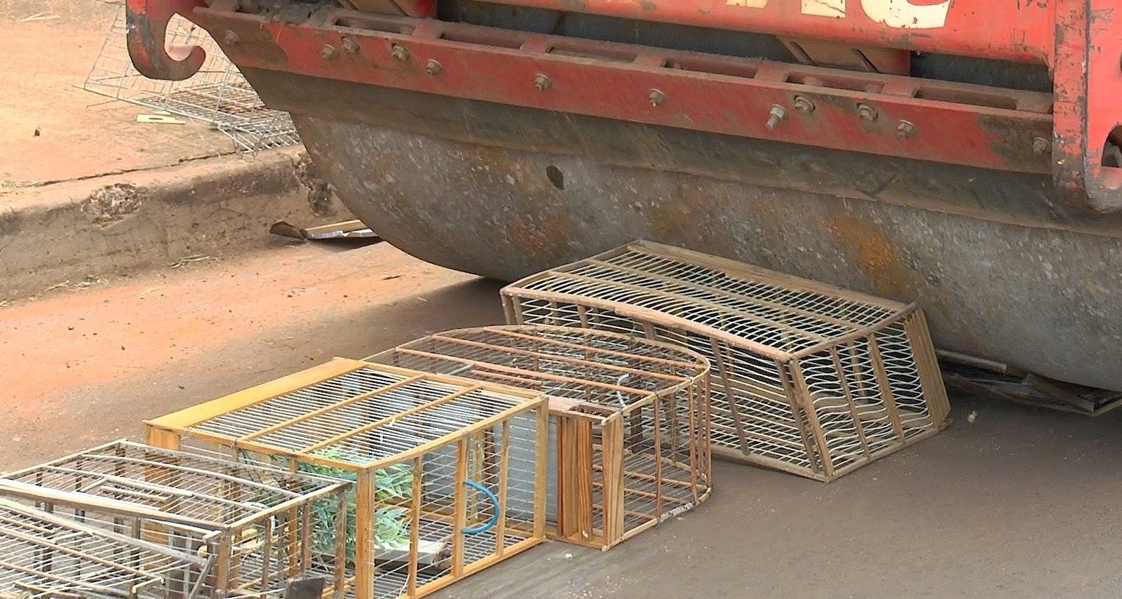 Botucatu destrói 300 gaiolas apreendidas no tráfico de animais silvestres