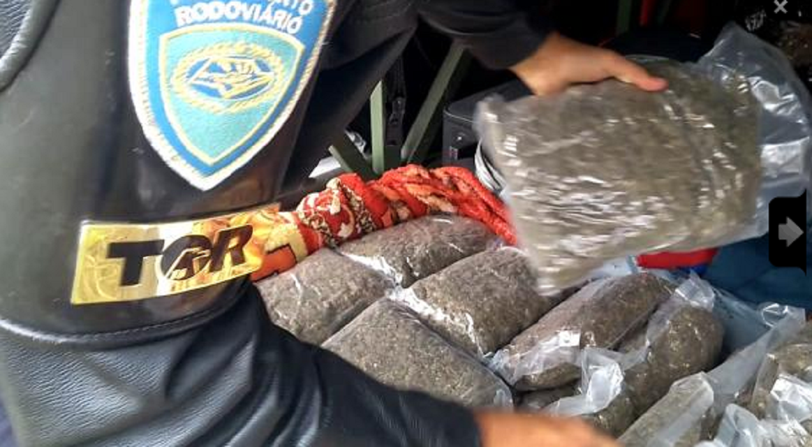 Mulher é presa por tráfico de supermaconha na Rodovia Castello Branco