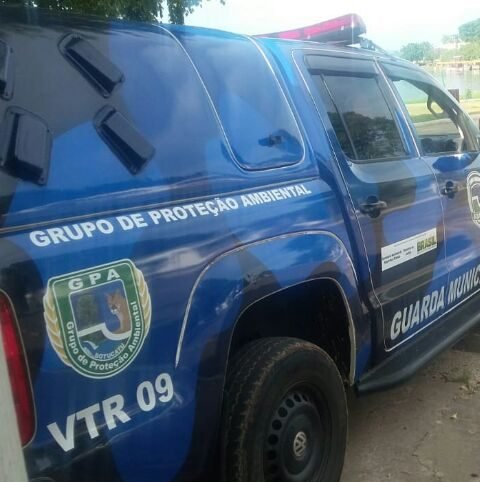 Em Botucatu, homem se irrita e mata cachorro a facadas