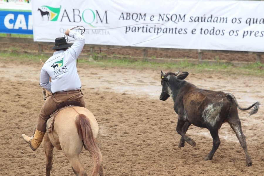 Avaré perde edição de 2018 do Campeonato Nacional do Quarto de Milha
