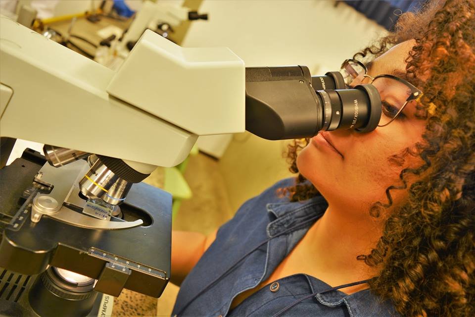 MEC garante que pagamento de bolsas do Capes não será suspenso