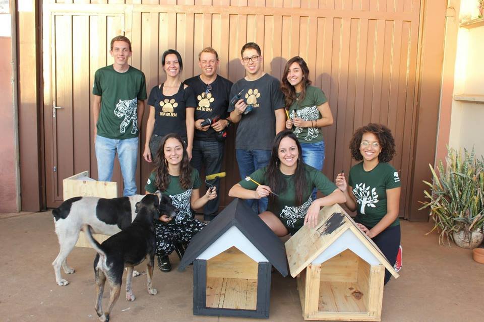 Grupo cria abrigos para animais de rua