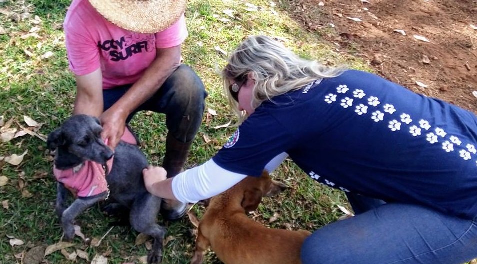 Vacinação Antirrábica na zona rural começa em 1º de agosto