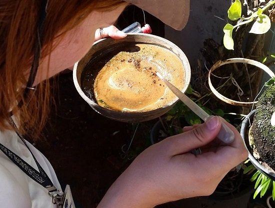 Botucatu reduz número de casas com larvas do Aedes aegypti