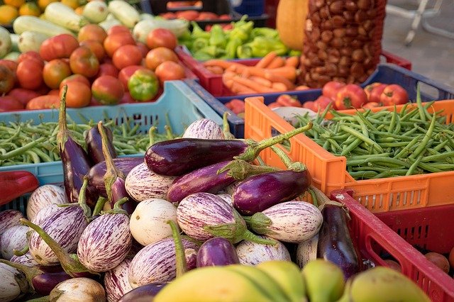 Unesp de Botucatu promoverá  Simpósio sobre Vegetarianismo