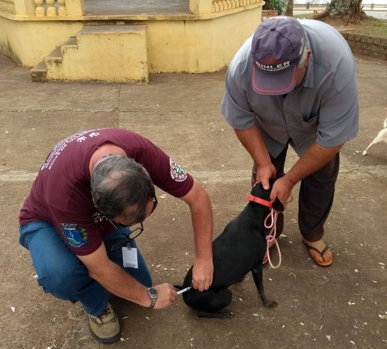 Último dia de vacinação antirrábica na zona rural será neste sábado, 25