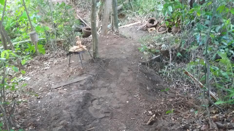 Domingo tem Cuesta Limpa em nascentes do Jardim Ypê