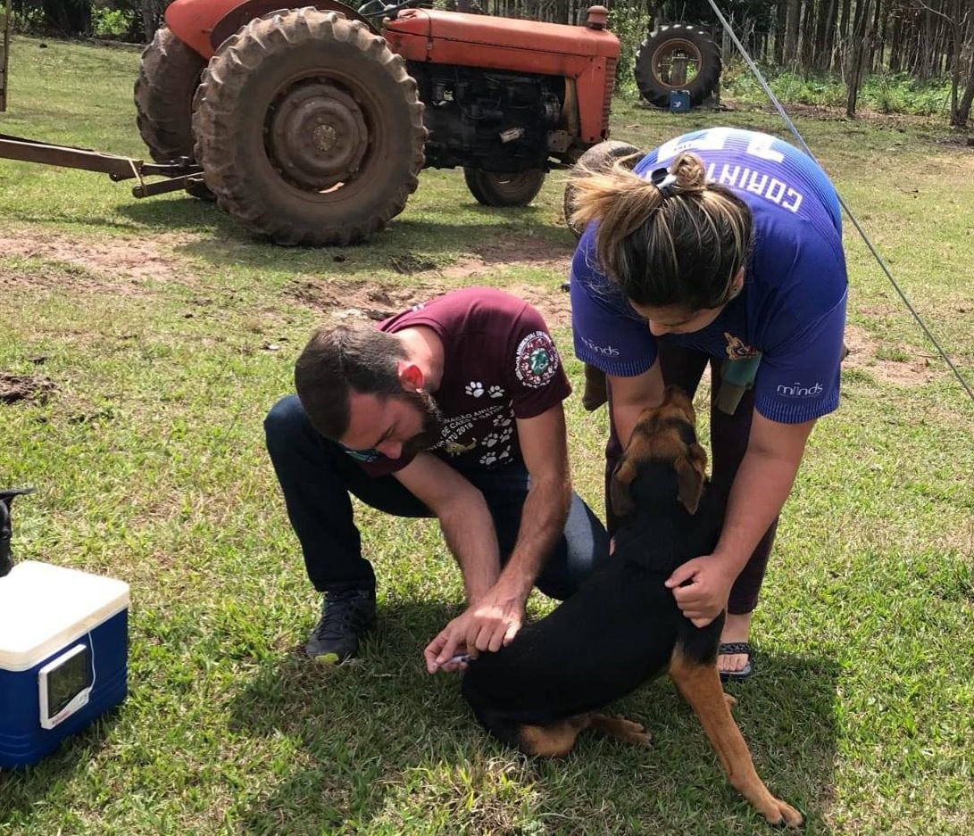 Vacinação Antirrábica na zona rural entra em sua última semana