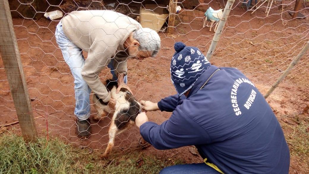 Vacinação Antirrábica na área rural imunizou mais de 3,8 mil animais