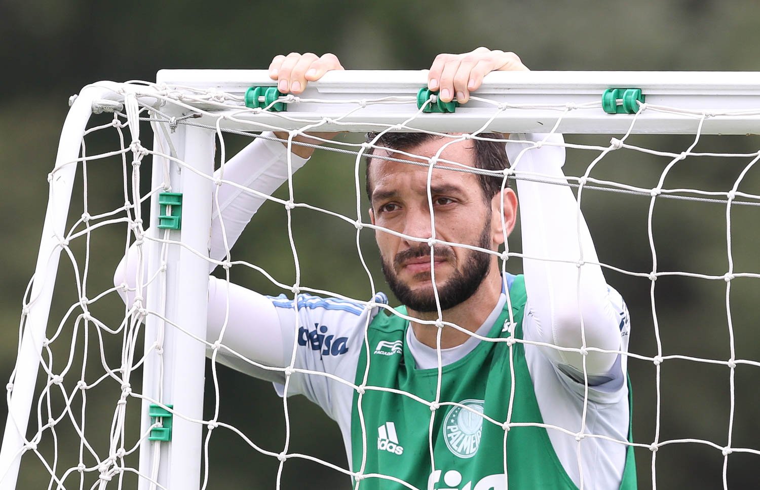 Palmeiras reencontra Cruzeiro após eliminação na Copa do Brasil