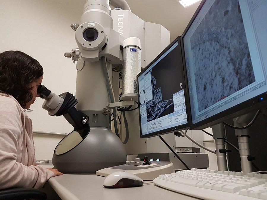 OPINIÃO | Em defesa da Ciência e Tecnologia