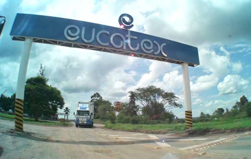 Eucatex prepara expansão que poderá gerar até 100 novos empregos