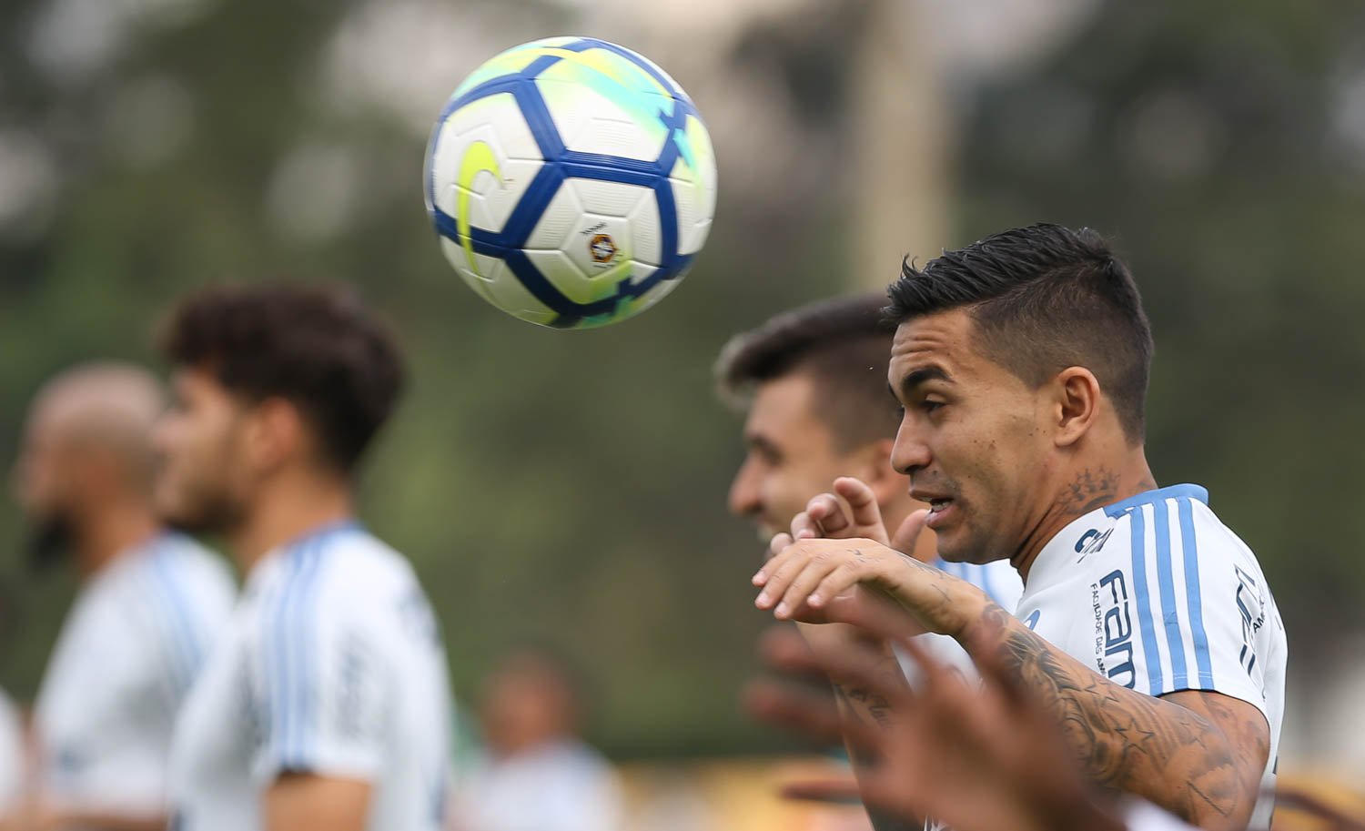 Distantes na tabela, Palmeiras e Santos fazem decisão neste sábado