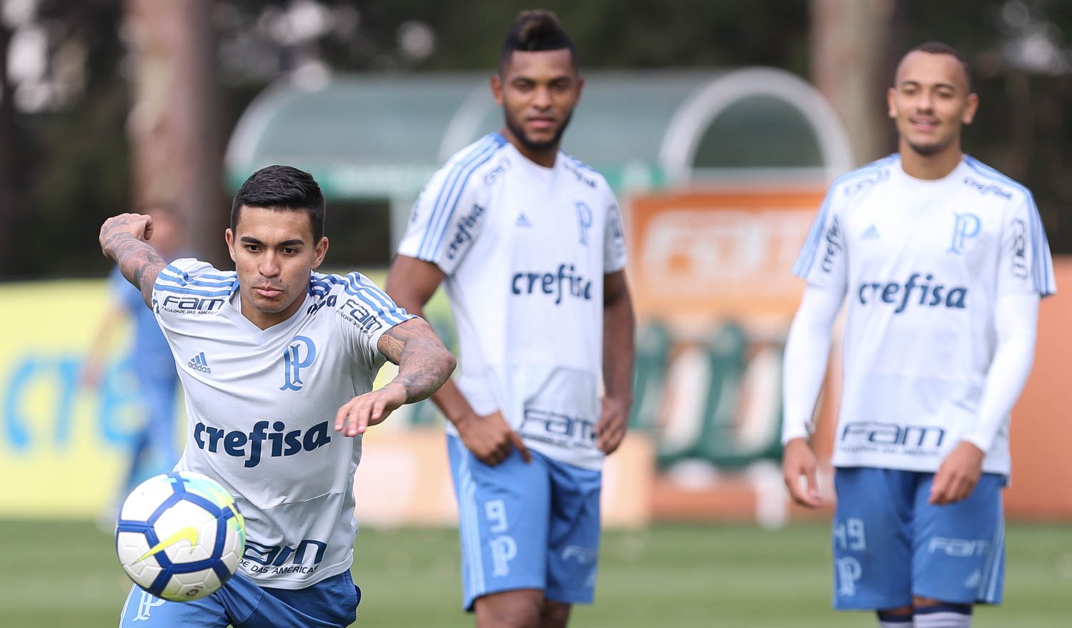 Palmeiras visita o Paraná para colocar mão na taça; São Paulo e Santos buscam Libertadores