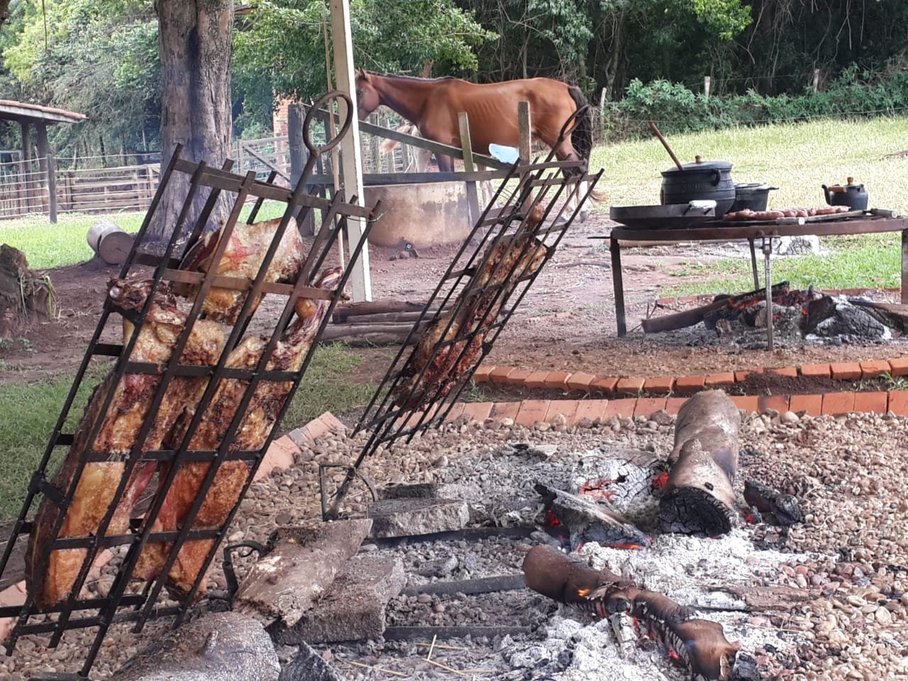 Alunos do Curso de Turismo Rural realizam o “Festival Gastronômico: Sabores, Fogo e Chão”