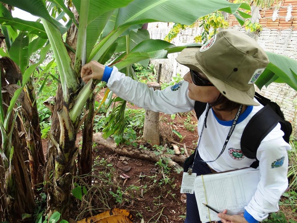 Vigilância Ambiental promoverá ações de combate ao Aedes Aegypti