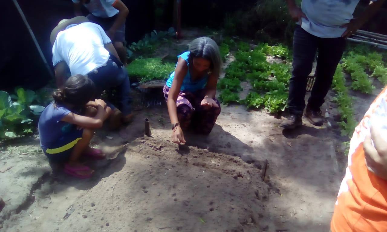 Moradores do Distrito de Anhumas participam de curso sobre hortas domésticas