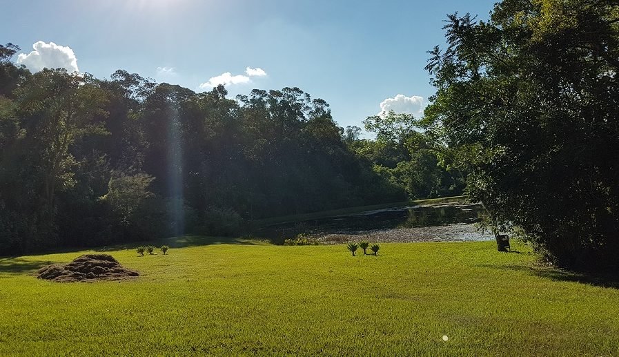 Jardim Botânico da Unesp terá programação cultural nesta semana