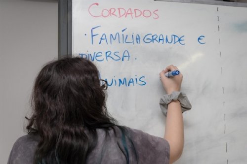 Cursinho Desafio abre inscrições para o Extensivo 2019