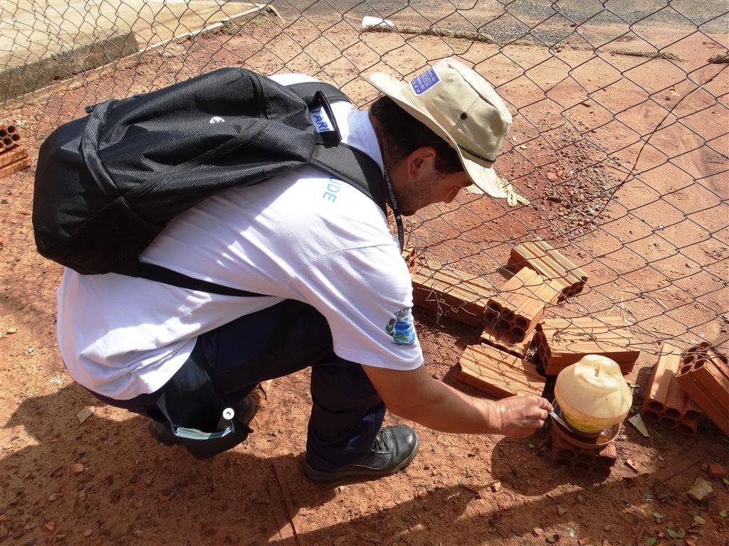 Vigilância Ambiental em Saúde medirá o índice de infestação do mosquito Aedes aegypti durante o mês de janeiro