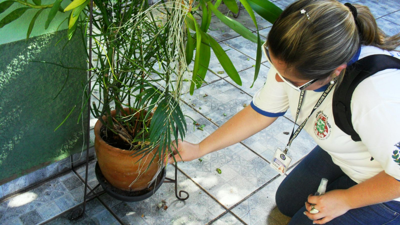 Índice de infestação do mosquito Aedes aegypti em janeiro é o menor dos últimos 5 anos em Botucatu
