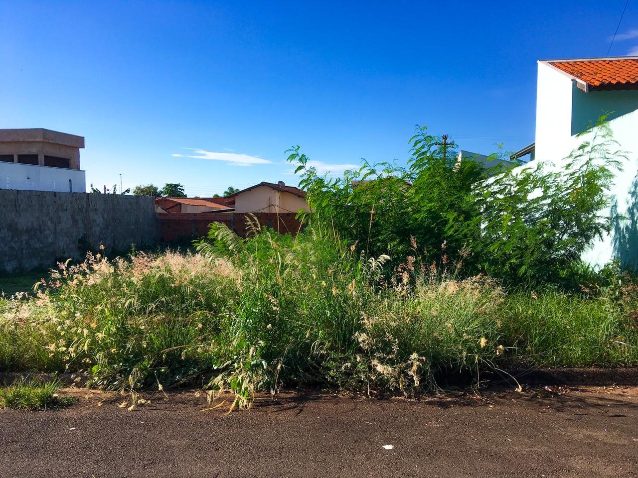 São Manuel: proprietários terão 15 dias para limpeza de terrenos