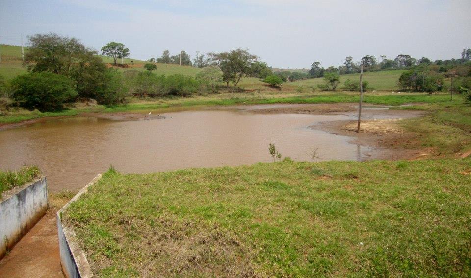 Pardinho terá a soltura de mais 4 mil peixes no Rio Pardo