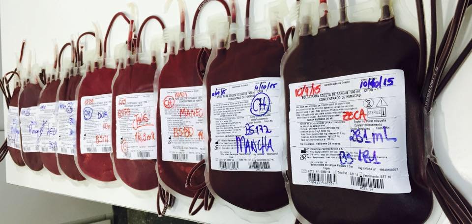 Banco de sangue canino da Unesp em Botucatu precisa de doações