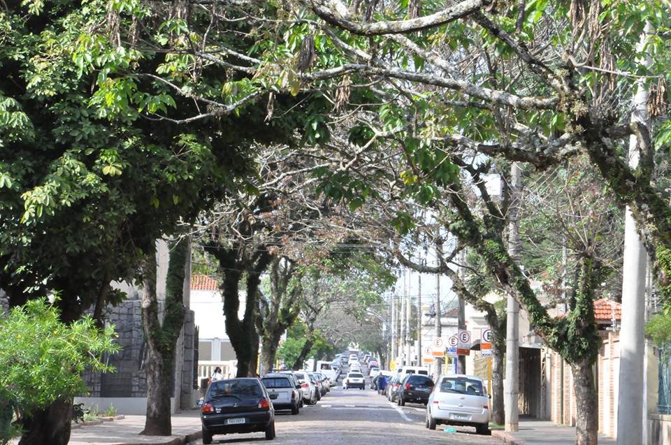 Secretaria do Verde realiza manutenção de Florestas Urbanas em Botucatu