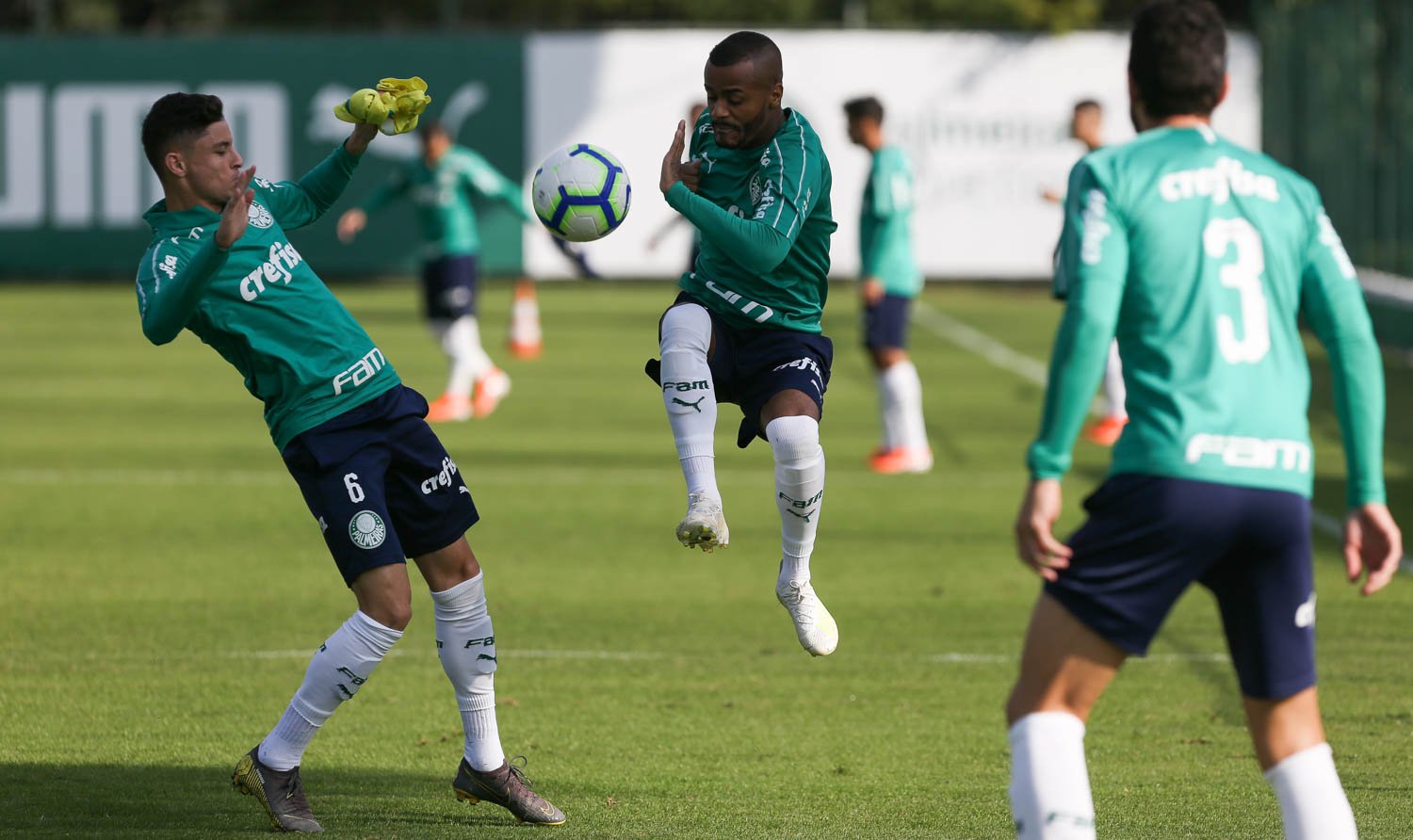 No duelo dos opostos, Palmeiras recebe o Avaí para retomar a liderança