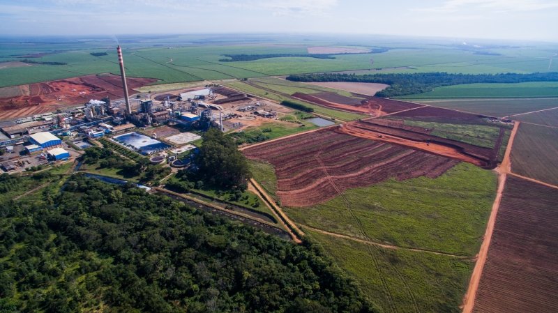 Região terá maior investimento na produção de celulose e papel das últimas décadas