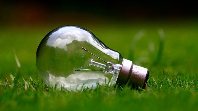 Ignorância Ecológica