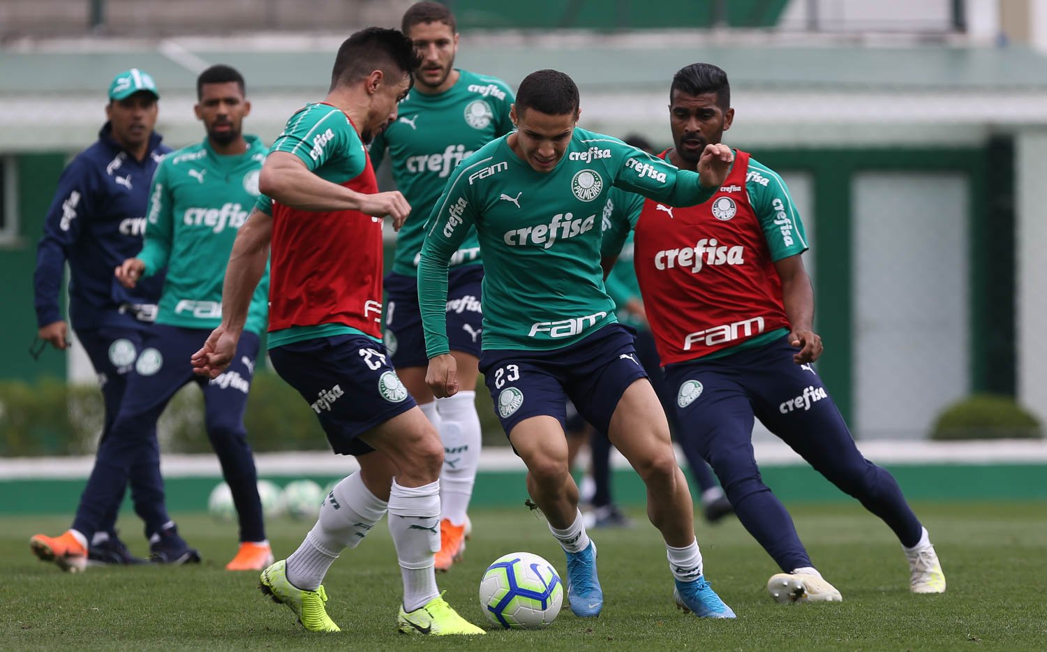 Por quinta vitória seguida com Mano, Palmeiras enfrenta o CSA