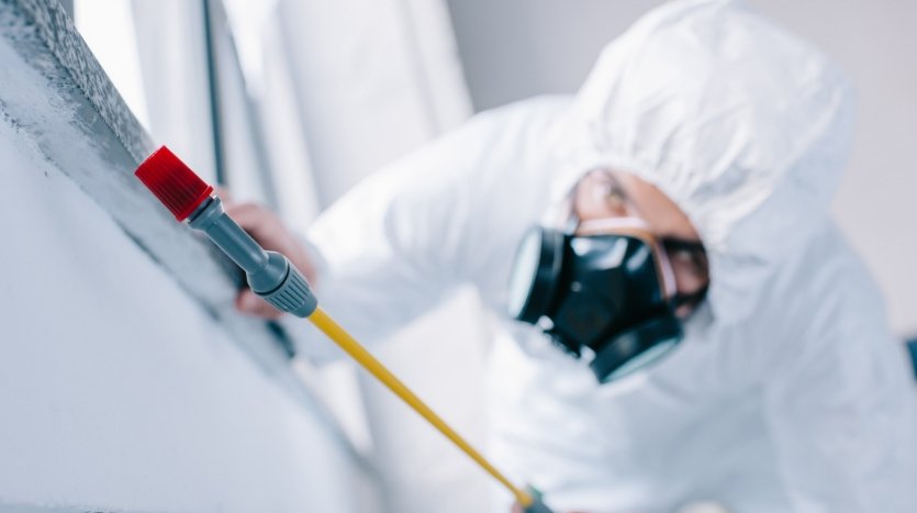 Aulas serão parcialmente suspensas para dedetização em escolas municipais