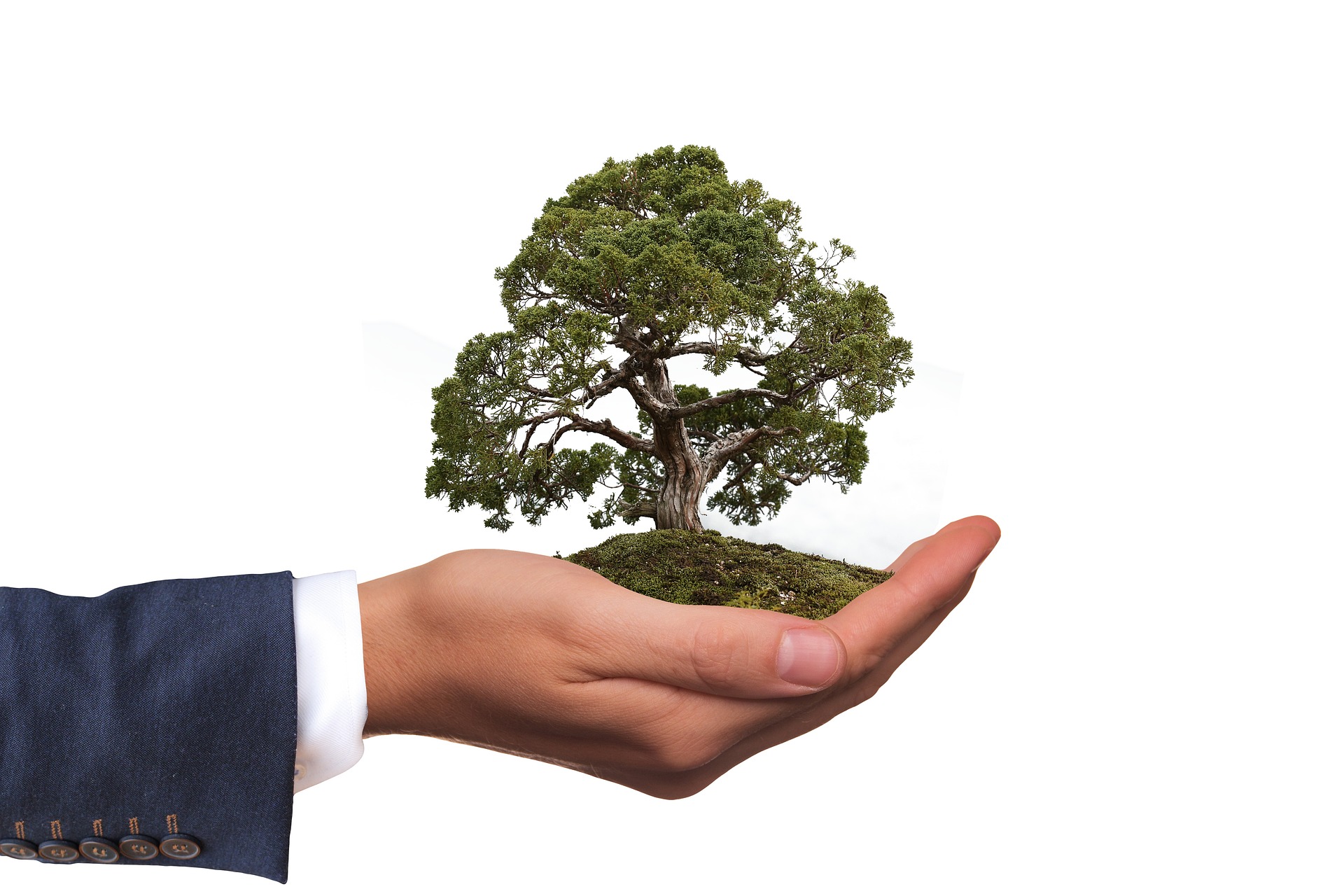 Palestra em Botucatu aborda fatos e mitos do mercado de carbono