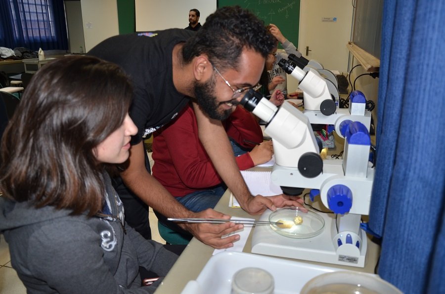 Cursos do Instituto de Biociências Botucatu somam 2,7 mil inscritos ao Vestibular 2020