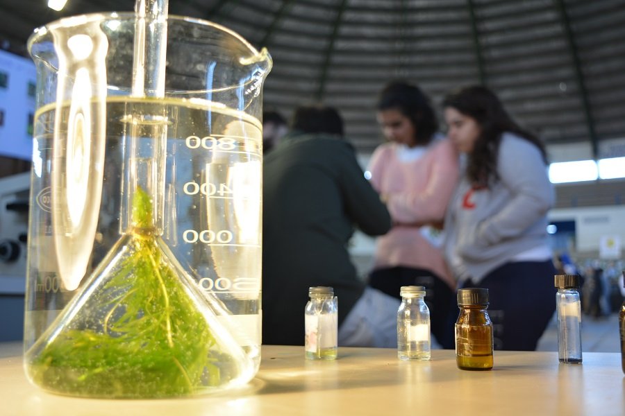 Estudantes de Botucatu e região poderão conhecer cursos do Instituto de Biociências da Unesp