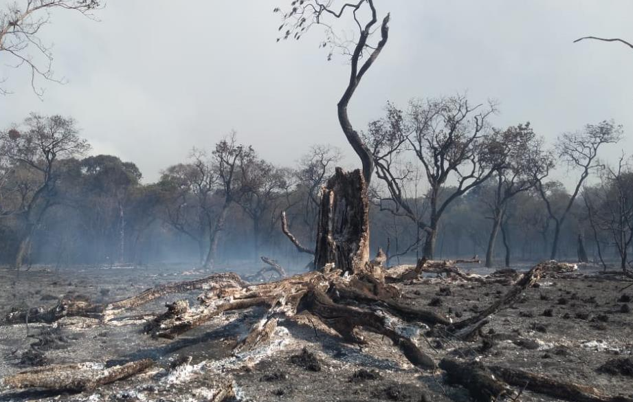 Colocar fogo em quintal ou terreno pode ser considerado crime