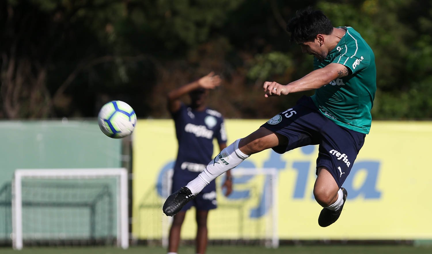 Palmeiras recebe o Ceará para continuar na briga pelo título