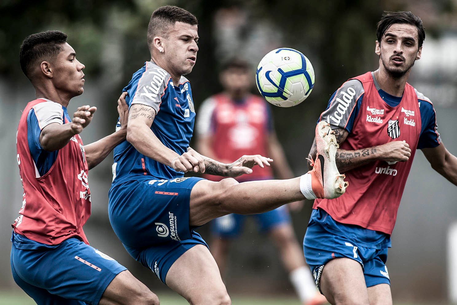Santos visita o Avaí de olho em vaga direta à Libertadores