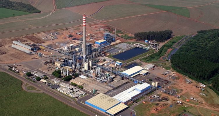 Bracell abre oportunidades de trabalho para ampliação da fábrica