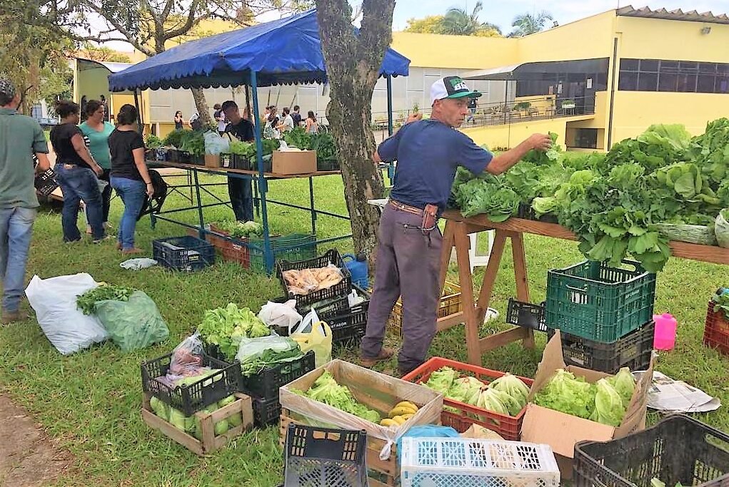 Unesp retoma projeto de feiras livres no câmpus