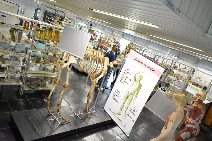 Instituto de Biociências da Unesp Botucatu abrirá portas a comunidade na quinta-feira (5)