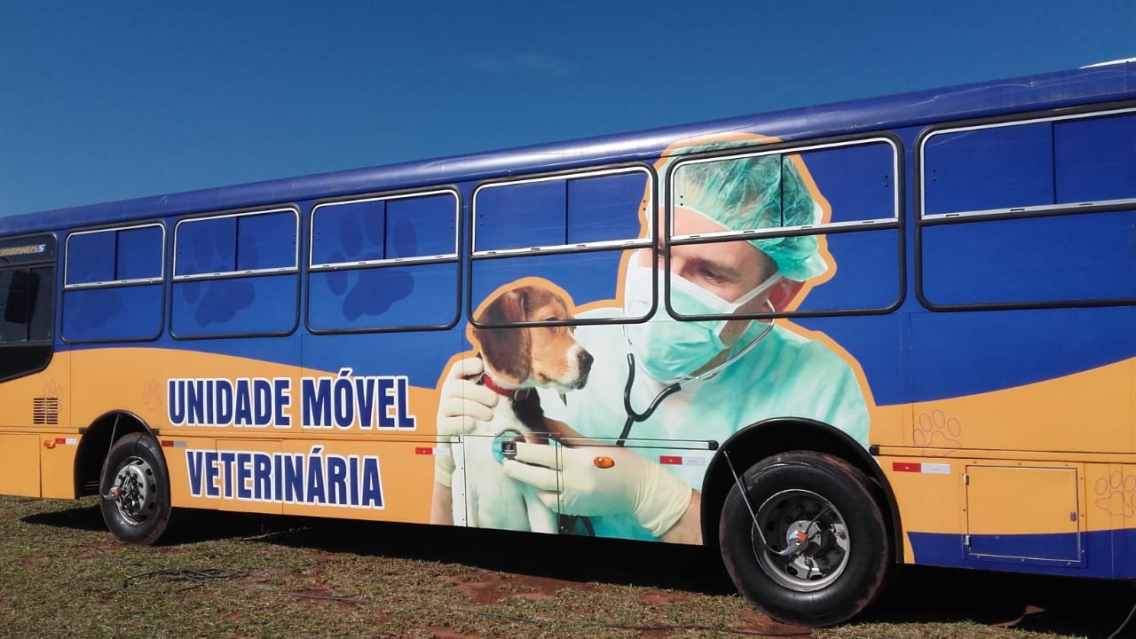 São Manuel realizou 740 castrações gratuitas em animais domésticos