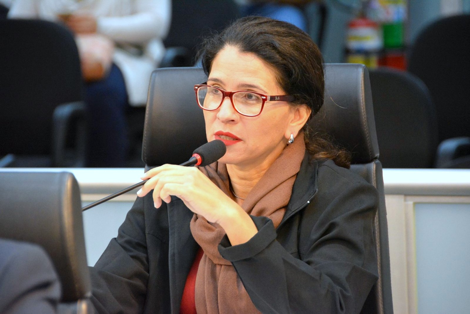 PDT define data de convenção e deve confirmar Rose Ielo como candidata a prefeita