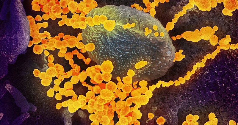 SP registra 275 mortes pelo novo coronavírus