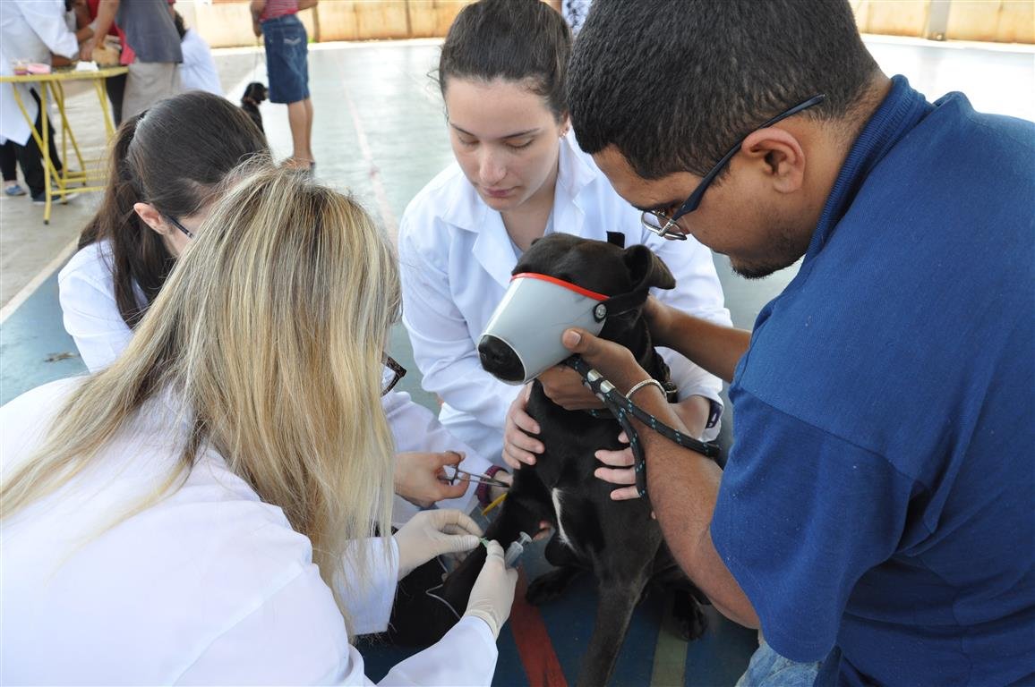 VAS aplicará vacinas antirrábicas em cães e gatos no próximo sábado, 21