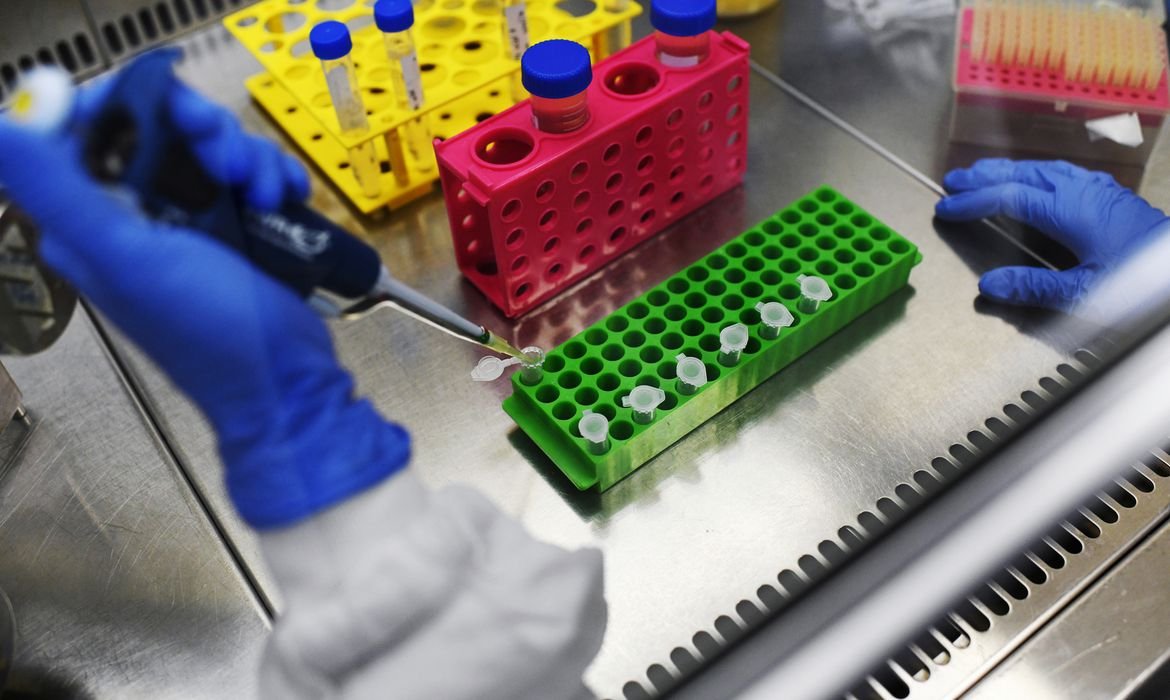 Brasil testará tratamento com anticorpos de pacientes recuperados da covid-19